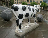 Edinburgh Cow Parade  -  2006  -  The Sheraton Hotel