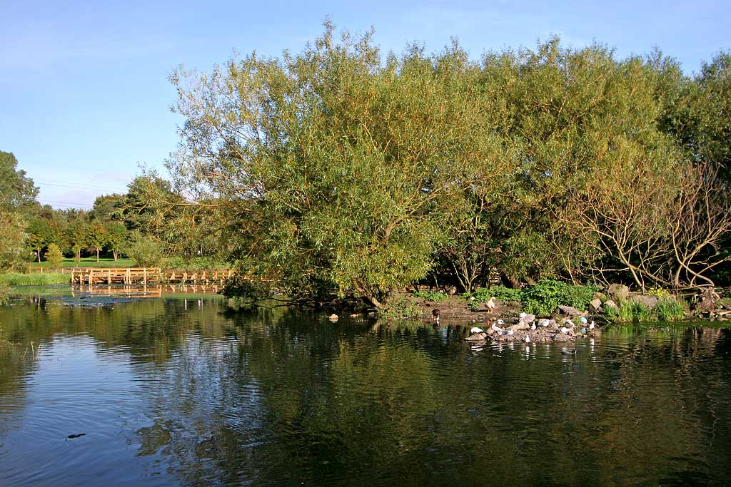 Figgate Pond, Portobello  -  September 2009