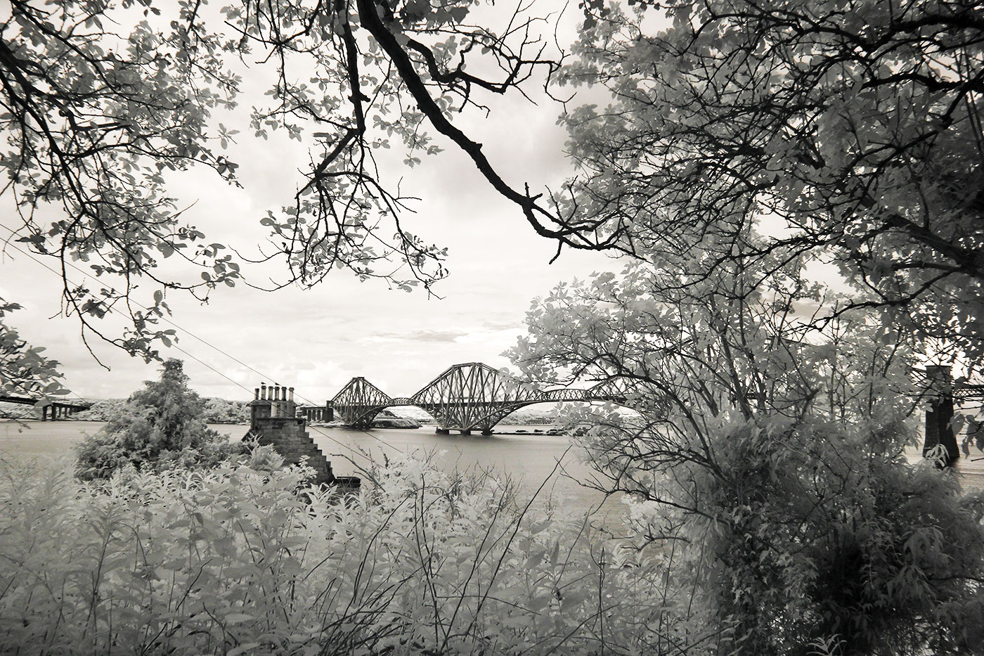 Infra-red Photo  -  The Forth Bridge  -  June 2014