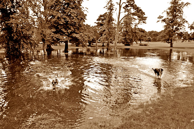 Inch Park, Liberton  -  August 2008  -  Flood in the Park