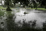 Inch Park, Liberton  -  July 2012   -  Still Raining