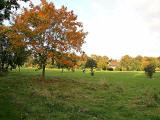 Portobello Golf Course  -  Trees and Club House  -  October 2007
