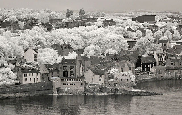 Infra-red Photo  -  South Queensferry  -  June 2014
