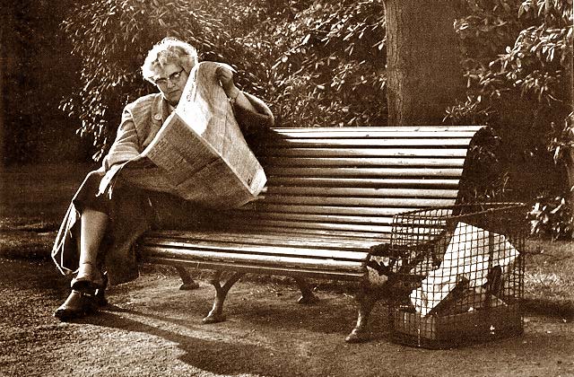 Evening Read at the Royal Botanic Garden - 1961