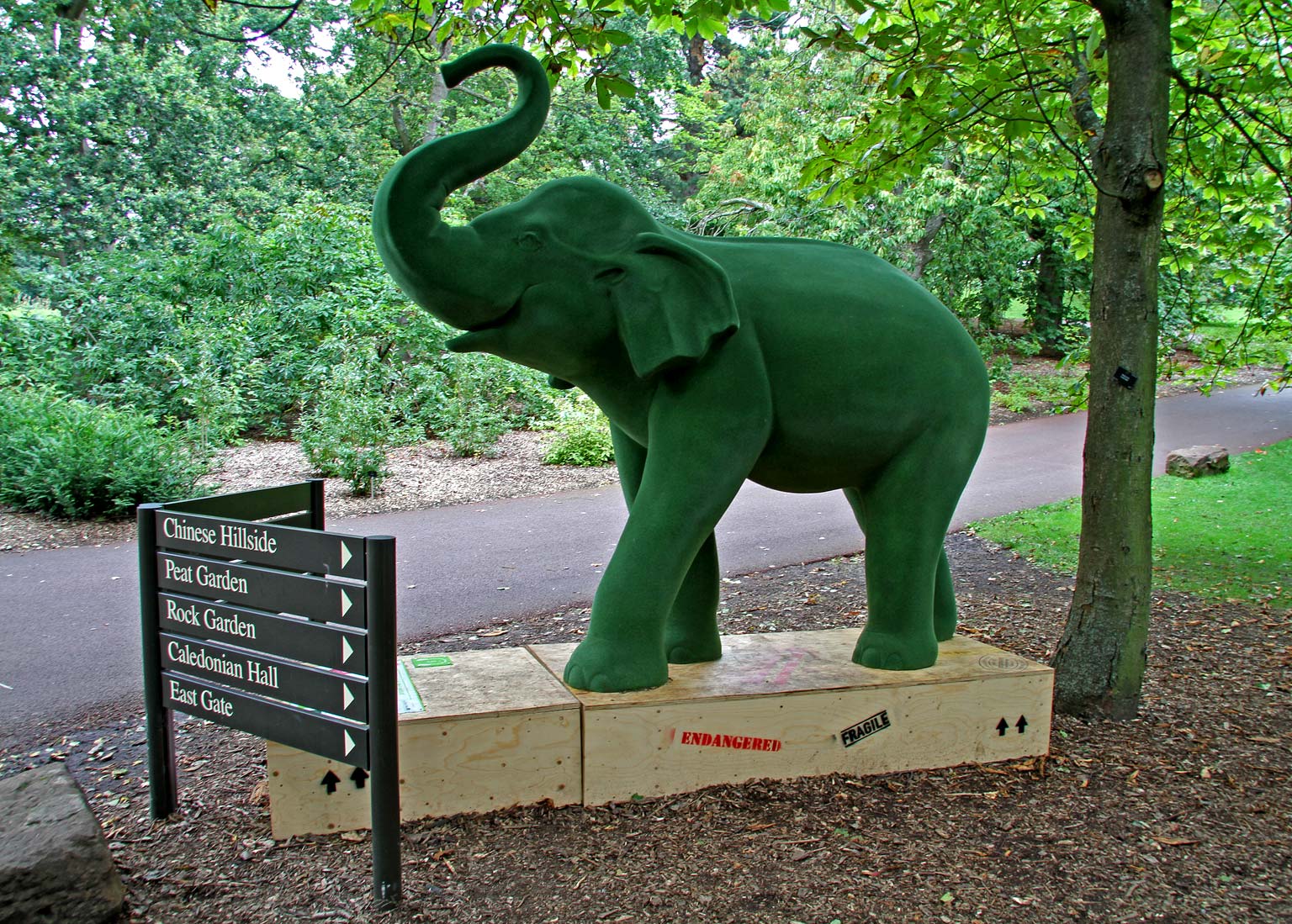Jungle City Exhibition at Royal Botanic Garden, Edinburgh  -  August 2011