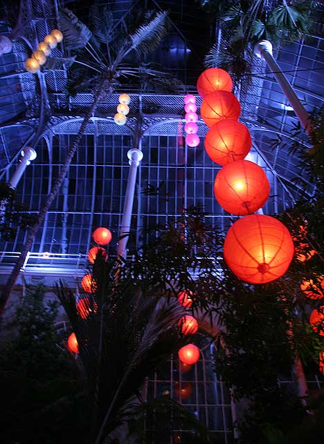 'Spirit' - A Chinese Spring Lantern Festival at the Royal Botanic Garden, Edinburgh  -  March 2008