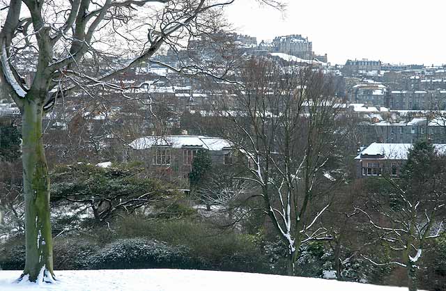 Royal Botanic Garden, Edinburgh  -  March 3, 2006