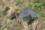 The 'Slidey Stane' in Holyrood Park  -  looking to the NW