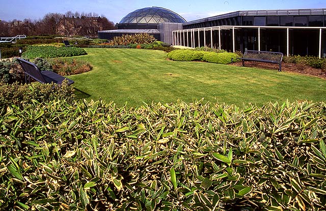 Tanfield House  -  Administration Offices for Standard Life  -  Rooftop Garden, 1993