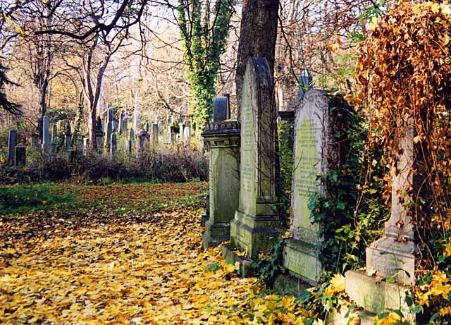 Warriston Cemetery with fallen leaves  -  Photographed in mid-November 2003
