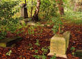 Photograph by Peter Stubbs  -  Edinburgh  -  Warrriston Cemetery  -  Gravestone of Peter Truefitt
