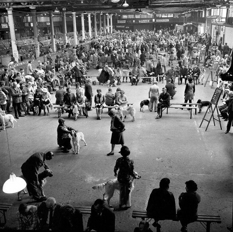 Dog Show at Waverley Market, 1971
