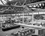 General View of the Flower Show at  Waverley Market before the visitors arrive - 1956
