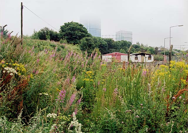 Edinburgh Waterfront  -  White Sheds and Gasometers  -  28 July 2002