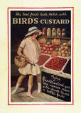 An advert for Bird's Custard  -  included in the exhibition 'Sales of the Century:  A Celebration of Shopping in Scotland' on display at the National Library of Scotland from December 2005