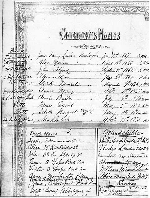 A page from the Family Register in John Horsburgh's family Bible  -  Children