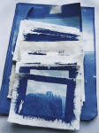 Cyanotype prints  -  printed by Norma Thallon at Hospitalfield House  -  2003