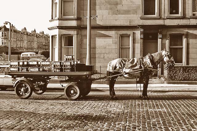 St Cuthbert's Milk Horse and Cart - Comely Bank, 1983
