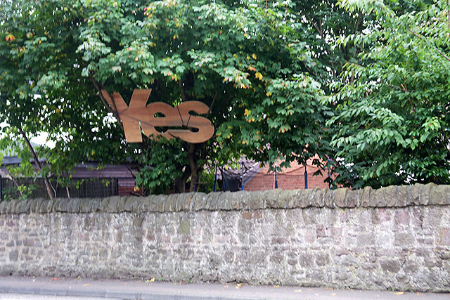 Photos taken in Edinburgh on the two days leading up to the Scottish Referendum Vote on 18 September 2014  -  A large wooden 'Yes' sign in a tree at Gilmerton Road, Newington