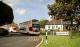 Lothian Buses  -  Terminus  -  Eaast Craigs  -  Route 31