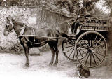 John Waldie Jun. and his horse and milk cart at Comiston Dairy, around 1900