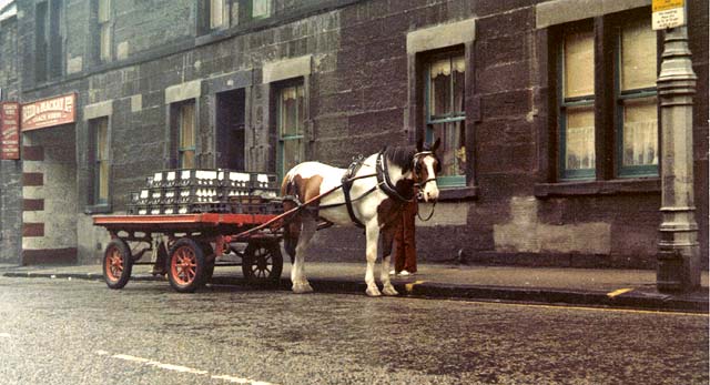 St Cuthbert's horse-drawn milk delivery cart, Gorgie Road, 1971