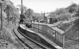 Railway photos - Auchendinny, Midlothian