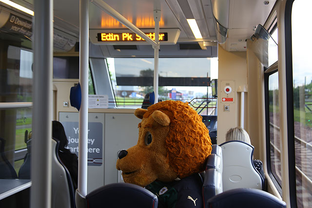 Edinburgh Tram Service  -  A bear, wearing the Raith Rovers FC Away Strip travels on the tram near Saughton  -  June 2014