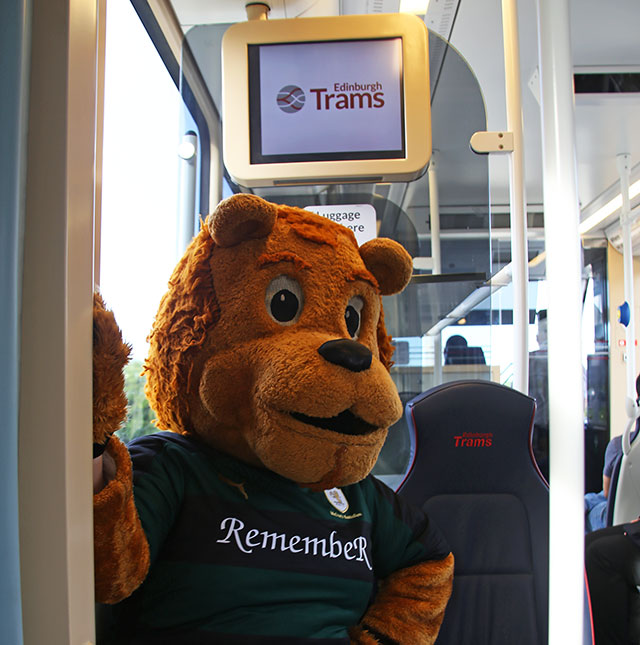 Edinburgh Tram Service  -  A bear, wearing the Raith Rovers FC Away Strip travels on the tram near Saughton  -  June 2014