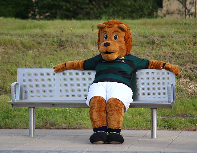 Edinburgh Tram Service  -  A bear, wearing the Raith Rovers FC Away Strip sits on bench at Saughton tramstop  waiting for a tram to Edinburgh Park Station  -  June 2014