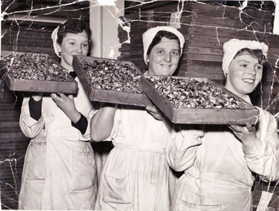 Three of the workers at Duncan's Chocolate Factory, Beaverbank, Edinburgh