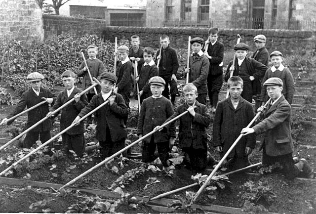 Loanhead Boys gardening_1908