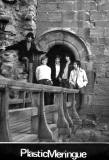 The Plastic Meringue  -  Edinburgh 1960s Band