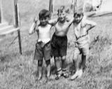Three Boys on the back green at West Granton Road  -  Photo taken around 1954