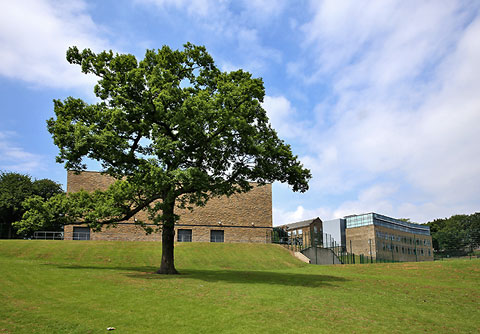 St Bede's Grammar School, Heaton, Bradford, 2013  -  Tree in the Grounds