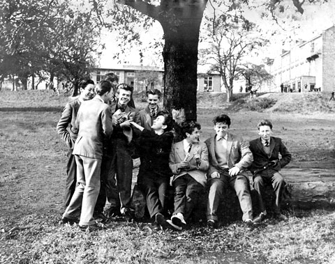 St Bede's Grammar School, Heaton, Bradford, - Form 5B pupils gatrher beside one of the trees  in the school grounds in 1961