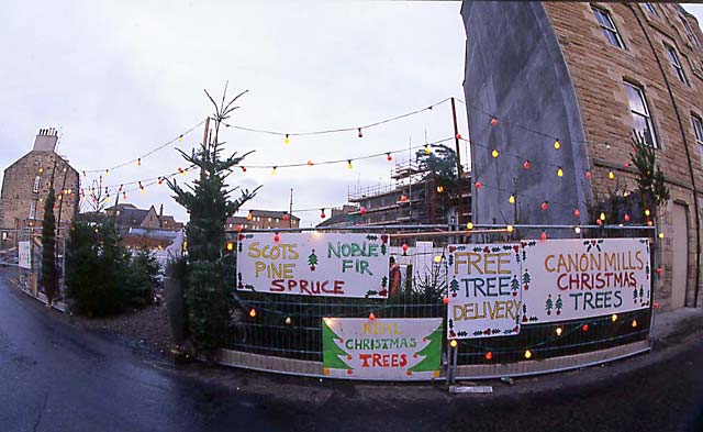 Christmas Tree Warehouse in the yard that was formerly the site of the Clark Stonemasons building, demolished earlier in the year  -  Christmas 1996