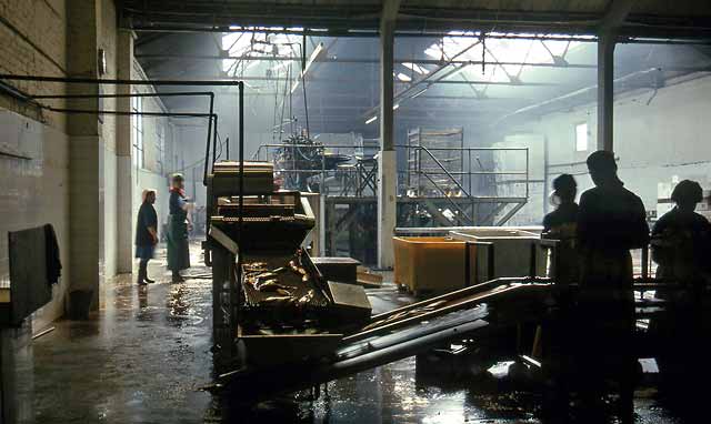 Edinburgh at Work - Croan & Son, kipper factory, Newhaven