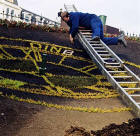 Winter Floral Clock being created in Princes Street Gardens at the foot of The Mound.
