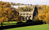 Photograph by Peter Stubbs  -  Edinburgh  -  November 2002  -  Holyrood Abbey