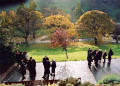 Photograph by Peter Stubbs  -  Edinburgh  -  November 2002  -  Remembrance Sunday in East Princes Street Gardens