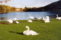 Photograph by Peter Stubbs  -  Edinburgh  -  November 2002  -  Looking to the north-east across St Margaret's Loch in Queen's Park