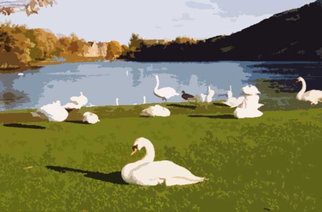 Photograph by Peter Stubbs  -  Edinburgh  -  November 2002  -  Looking to the north-east across St Margaret's Loch in Queen's Park