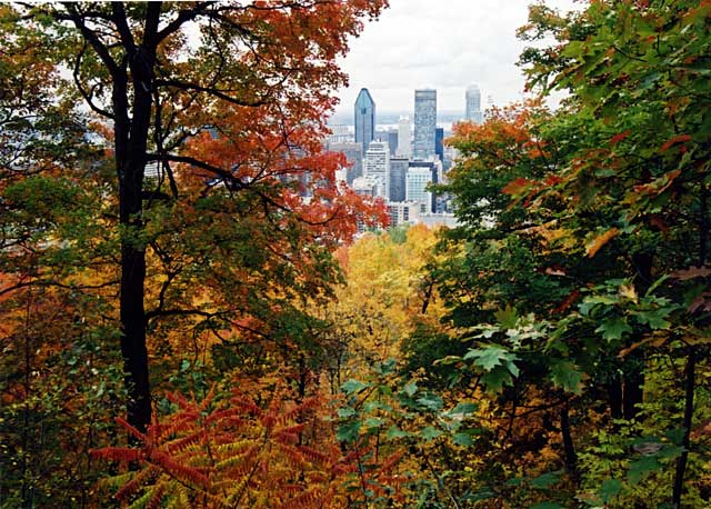 Looking towards the City from the north-eastern corner of Parc Mont-Royal, Montreal  -  Photo taken 17 October 2003