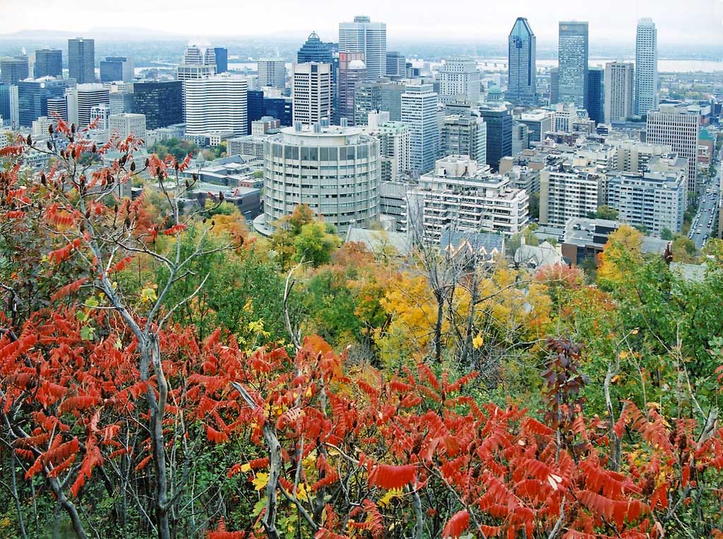 Montreal in the Fall  -  Looking east over the City from the esplanade at Chalet de la Montagne, Parc Mont-Royal  -  Photograph taken 17 October 2003