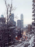 Looking towards Downtown Montreal from Avenue des Pins
