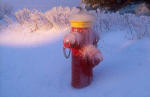 Fire Hydrant in Winter  -  on the edge of Parc  Mont-Royal, Edinburgh