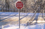 Montreal  -  Stop sign in winter