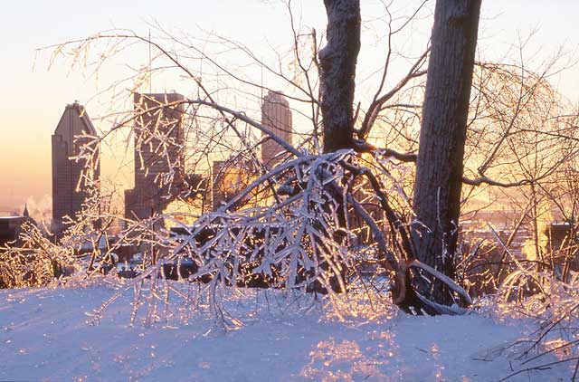 View from Parc Mont-Royal towards Downtown Montreal  -  during the Montreal Ice Storm  -  January 1998