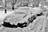 Parked Cars near McGill University  -  after a late-winter snow storm.